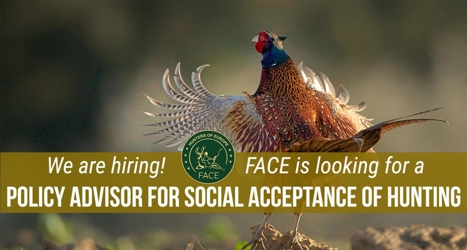 face-job-advert-policy-advisor-for-social-acceptance-of-hunting